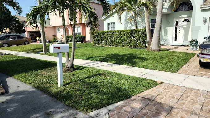 Landscaping Project 2